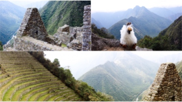 Wyana_Picchu.jpg